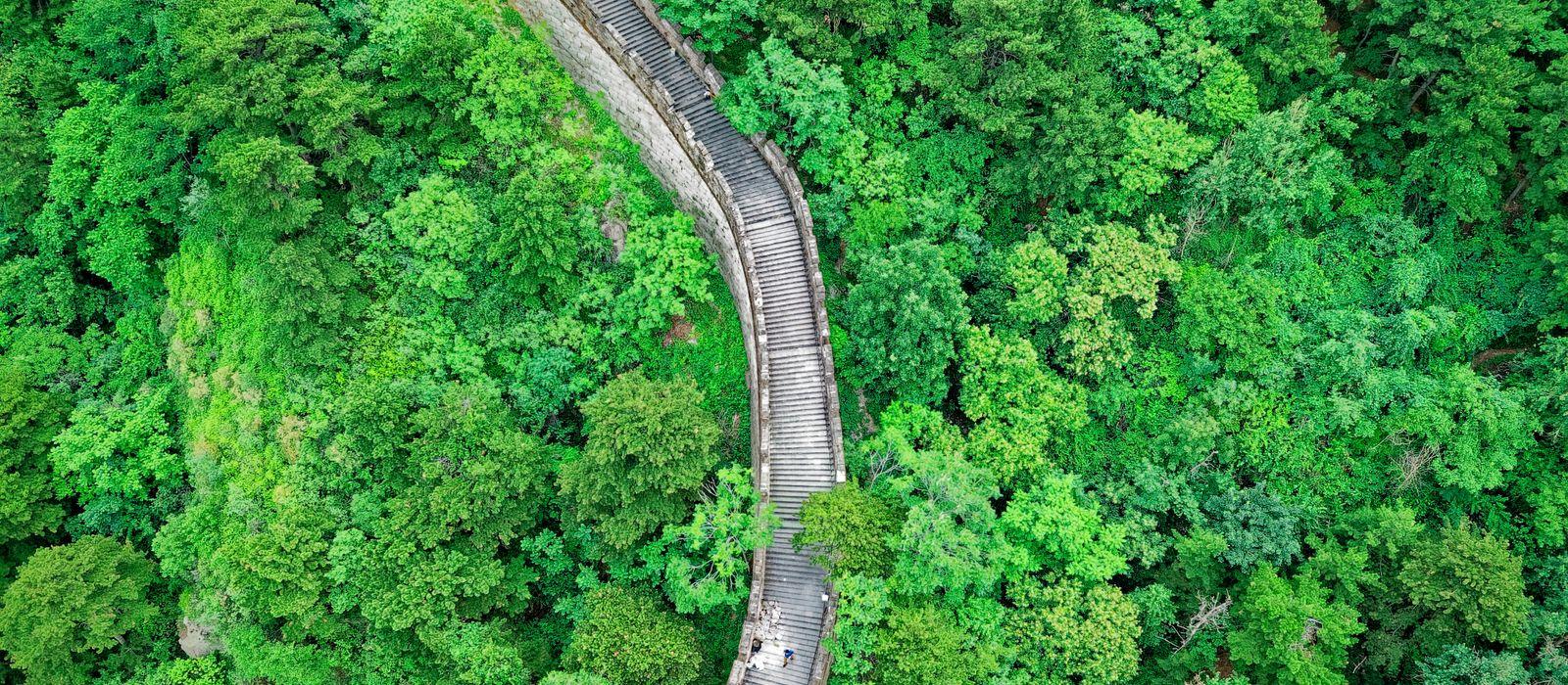 中國旅遊 eSIM：保住 Google 同 WhatsApp（繞過防火長城）